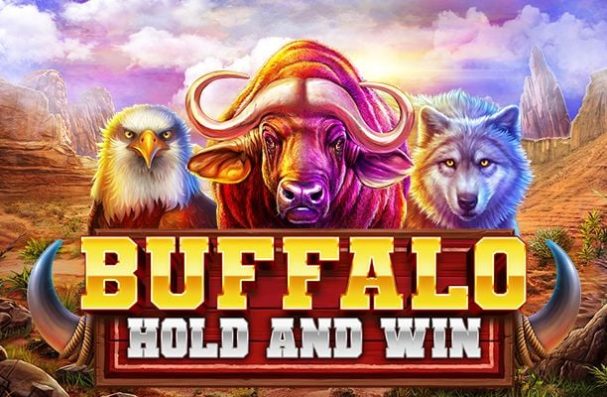 Buffalo Hold and Win