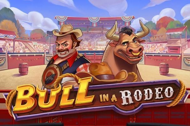 Bull in a Rodeo