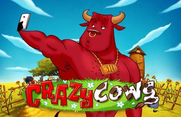 Crazy Cows