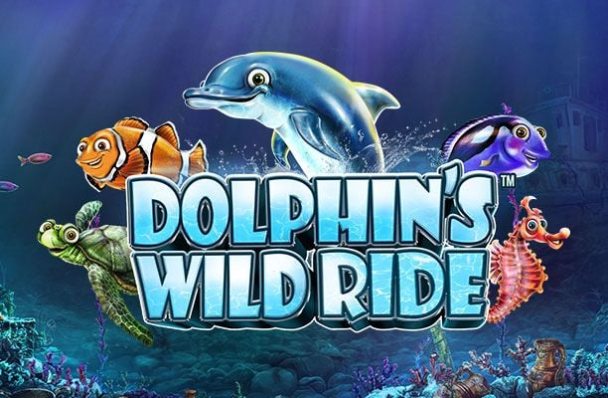 Dolphin's Wild Ride