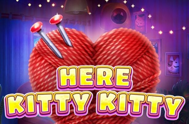 Here Kitty Kitty