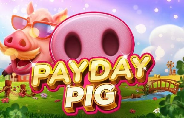 Payday Pig
