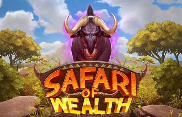 Safari of Wealth