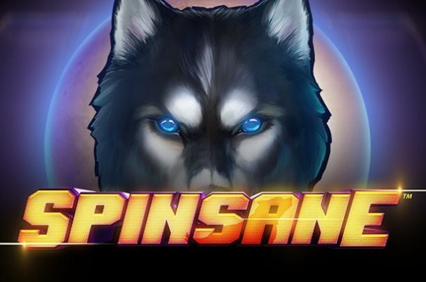 Spinsane
