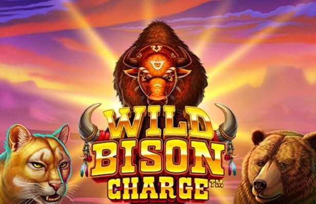 Wild Bison Charge