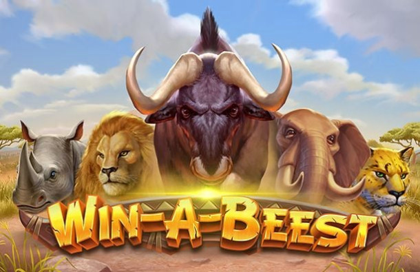 Win A Beest
