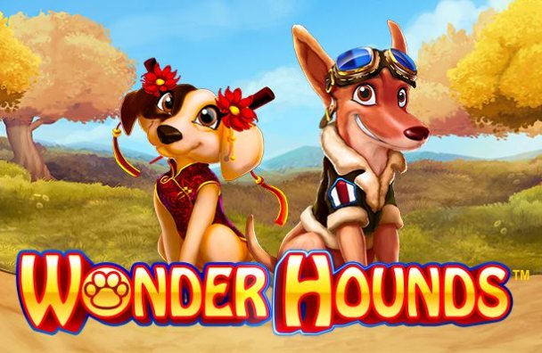 Wonder Hounds